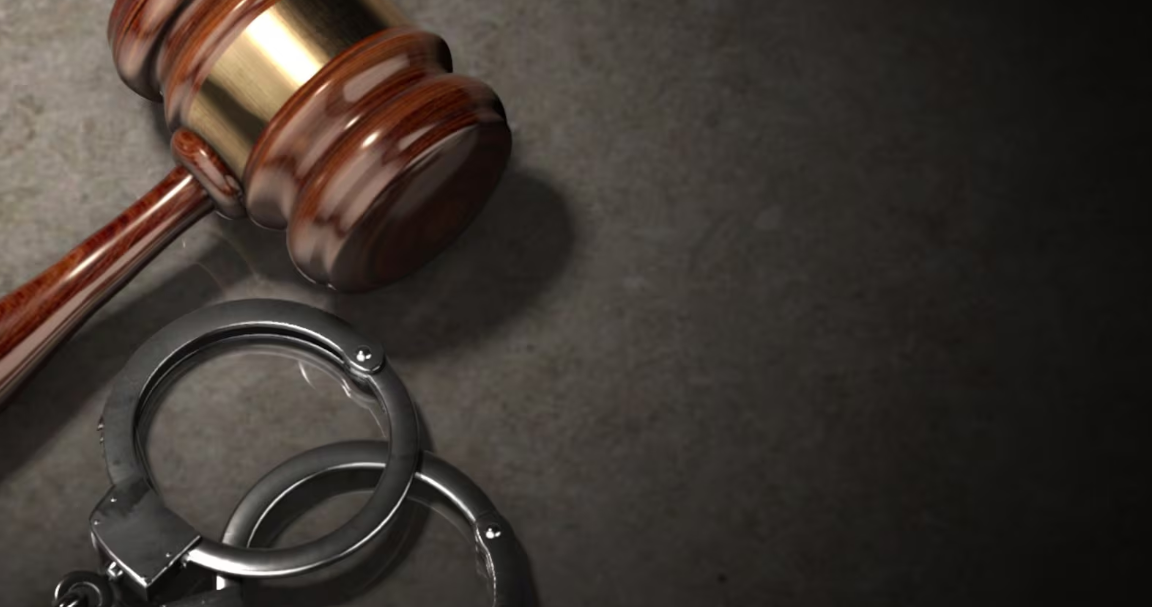 What is bestiality charges